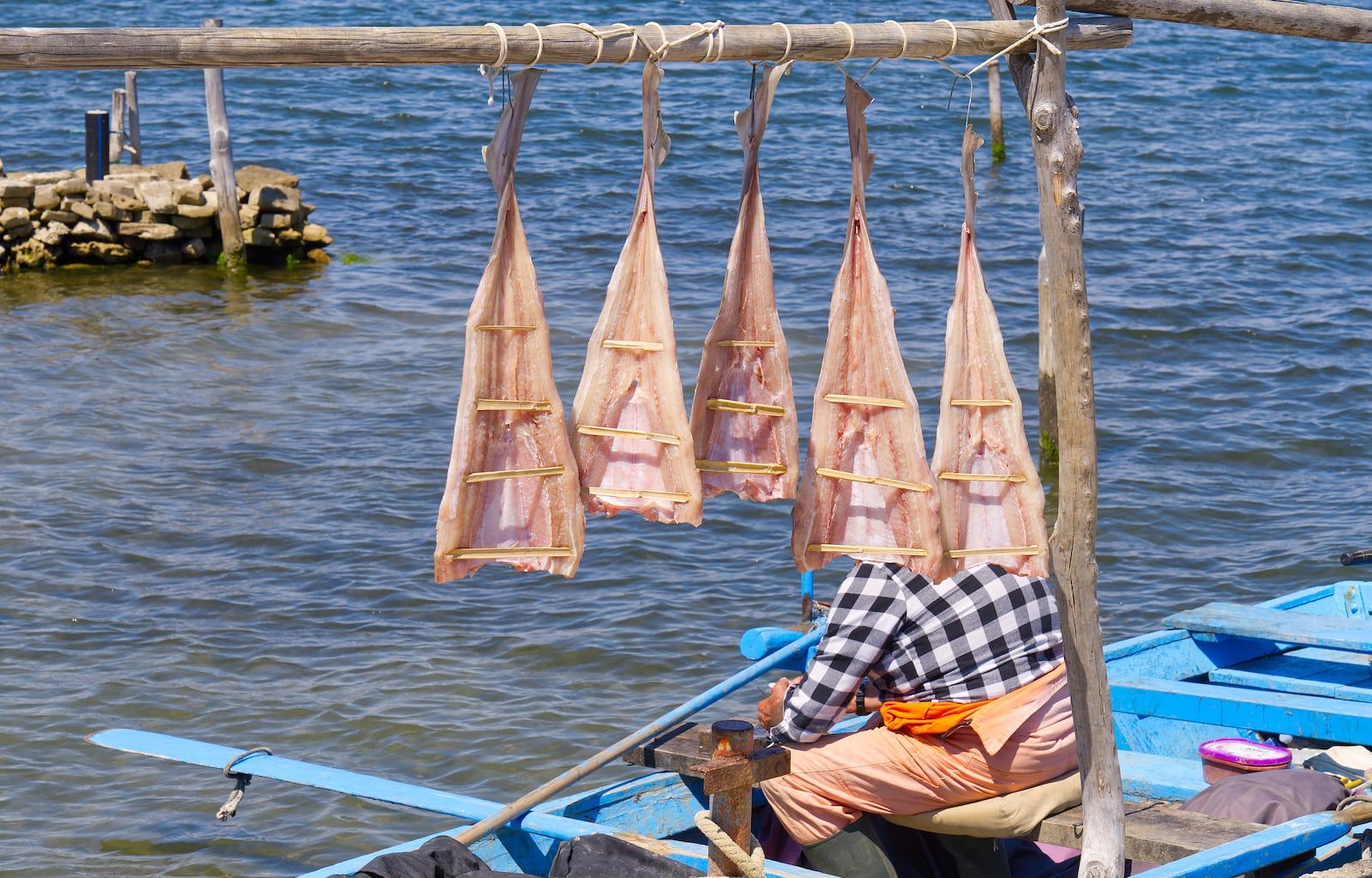 Pesce essicato al sole